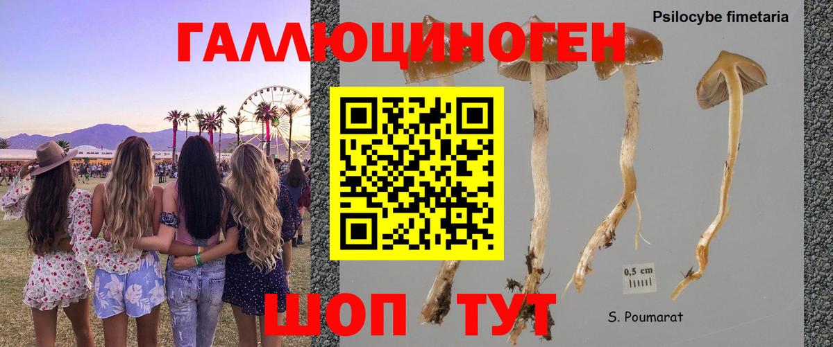 Ялта  Псилоцибиновые грибы GOLDEN TEACHER  Псилоцибиновые грибы мухоморы  Вход с VPN 